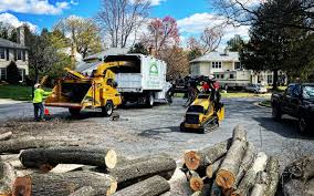 Best Storm Damage Tree Cleanup  in Chickasaw, AL